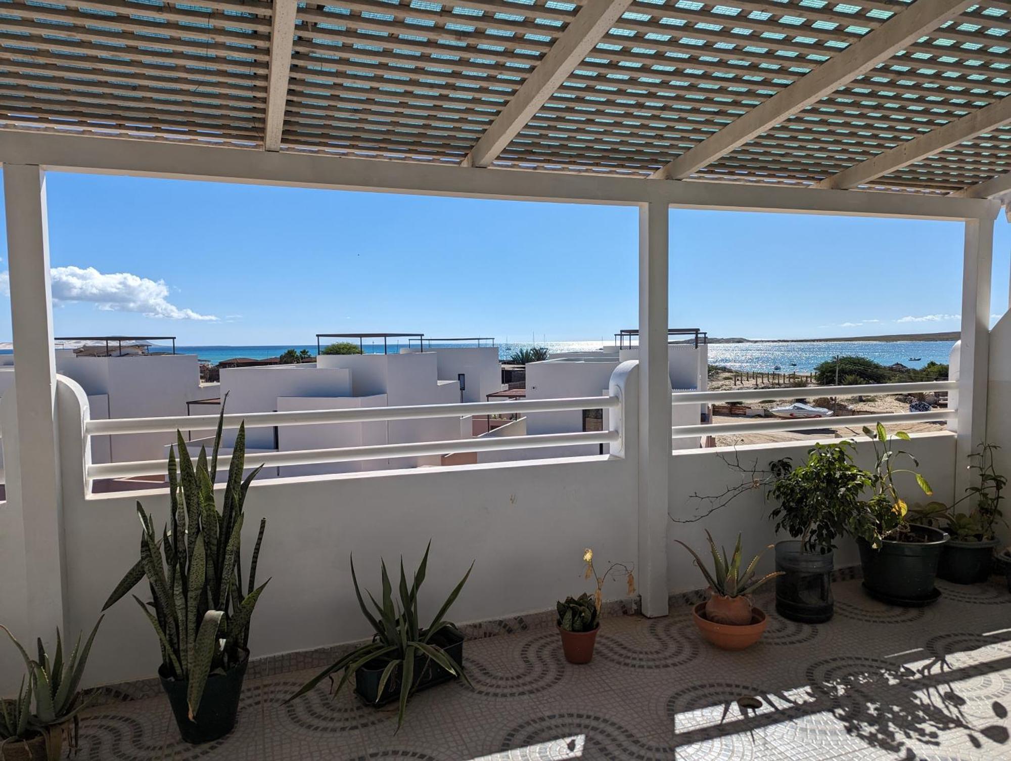 Tropical Leaves Sea View Penthouse Ca Greta 2 Floor Lägenhet Sal Rei Exteriör bild